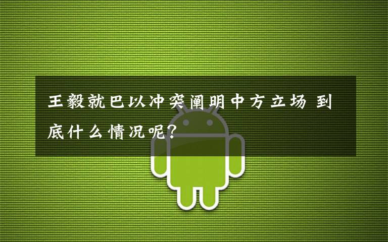 王毅就巴以冲突阐明中方立场 到底什么情况呢?