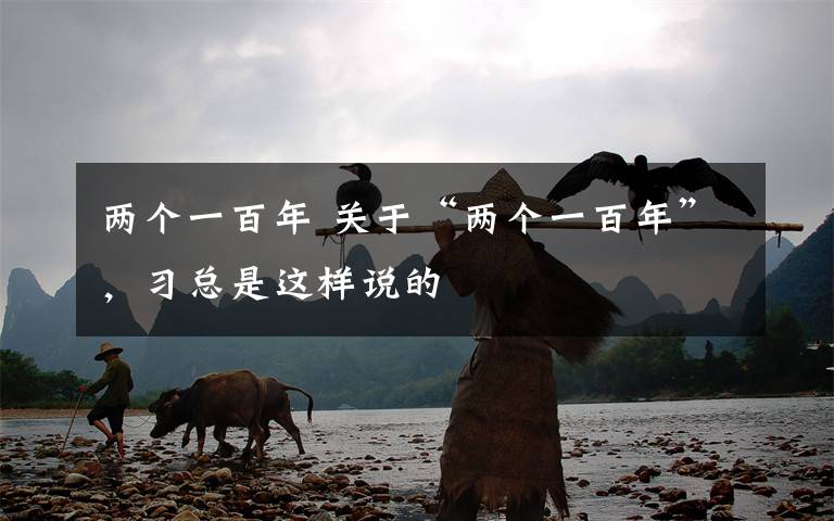 两个一百年 关于“两个一百年”，习总是这样说的