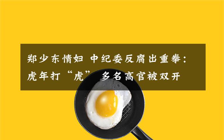 郑少东情妇 中纪委反腐出重拳:虎年打“虎” 多名高官被双开