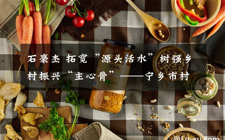 石豪杰 拓宽“源头活水”树强乡村振兴“主心骨”——宁乡市村党组织书记队伍建设综述