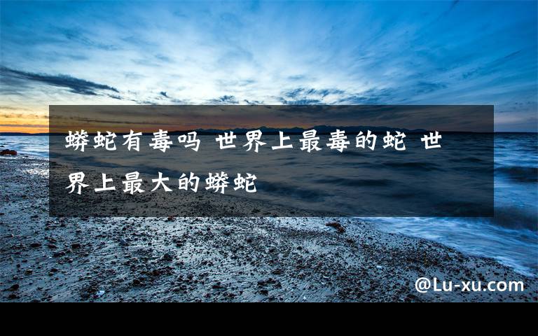 蟒蛇有毒吗 世界上最毒的蛇 世界上最大的蟒蛇