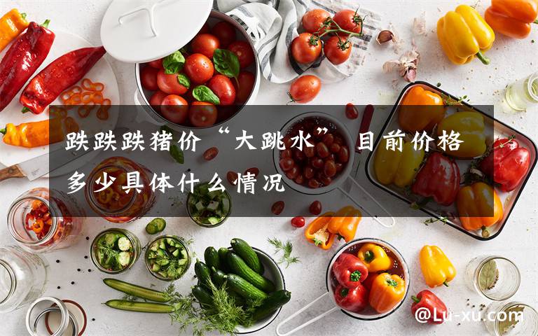 跌跌跌猪价“大跳水” 目前价格多少具体什么情况