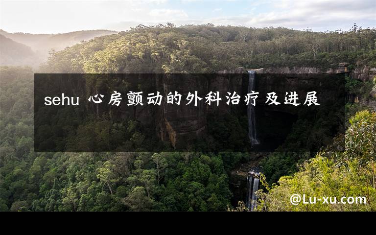 sehu 心房颤动的外科治疗及进展