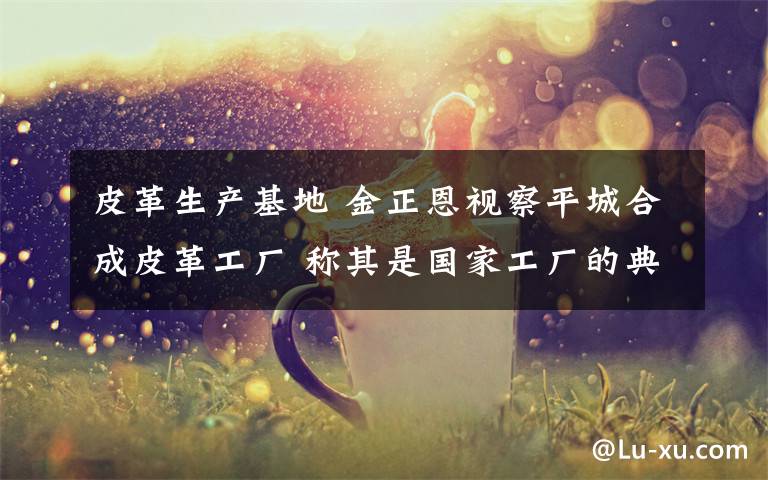 皮革生产基地 金正恩视察平城合成皮革工厂 称其是国家工厂的典范
