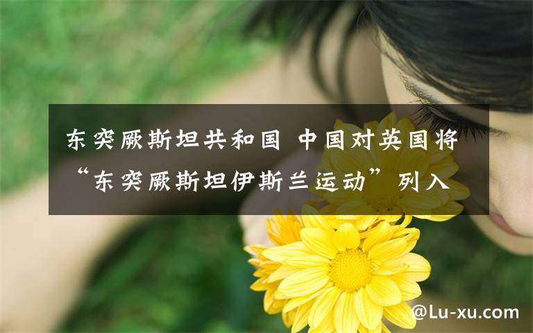 东突厥斯坦共和国 中国对英国将“东突厥斯坦伊斯兰运动”列入“被禁止的恐怖组织”名单表示赞赏