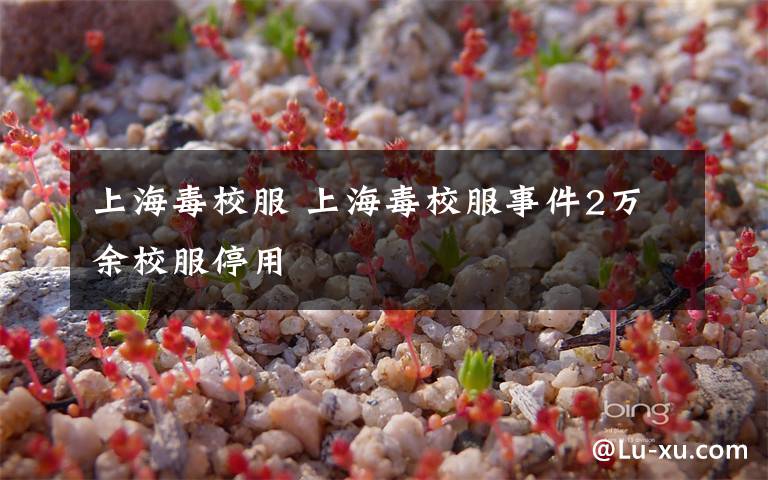 上海毒校服 上海毒校服事件2万余校服停用