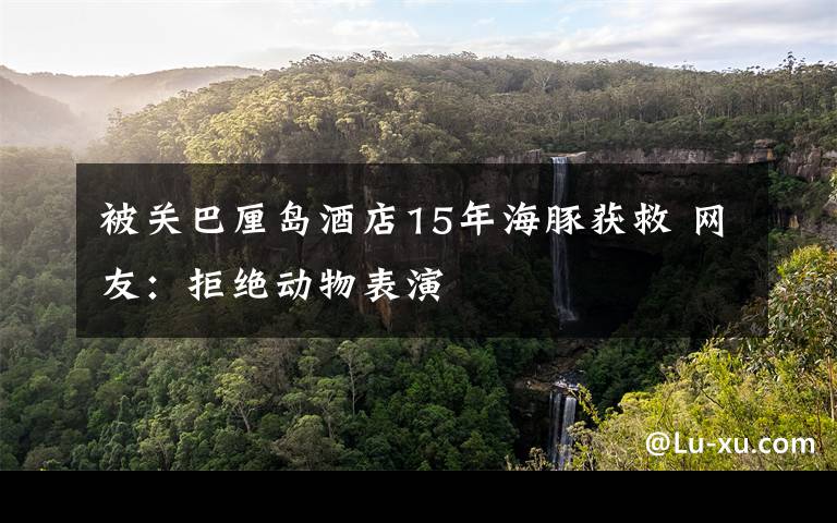 被关巴厘岛酒店15年海豚获救 网友:拒绝动物表演