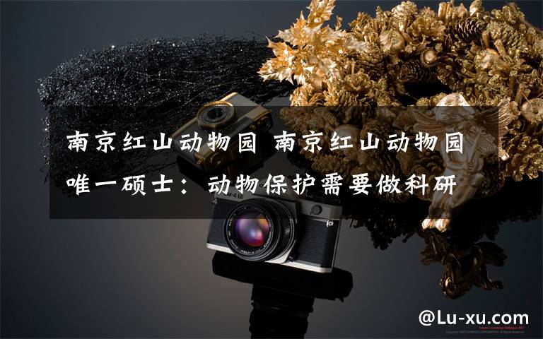 南京红山动物园 南京红山动物园唯一硕士:动物保护需要做科研
