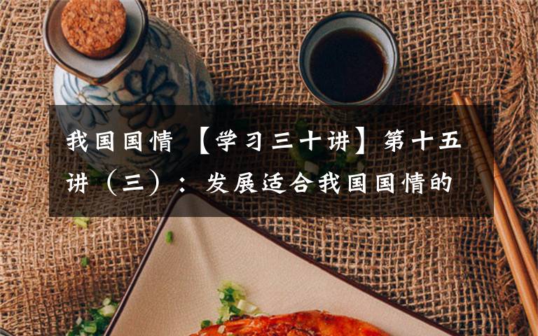我国国情 【学习三十讲】第十五讲(三):发展适合我国国情的社会主义民主政治制度