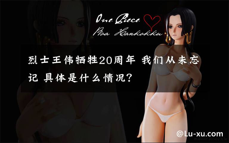 烈士王伟牺牲20周年 我们从未忘记 具体是什么情况?