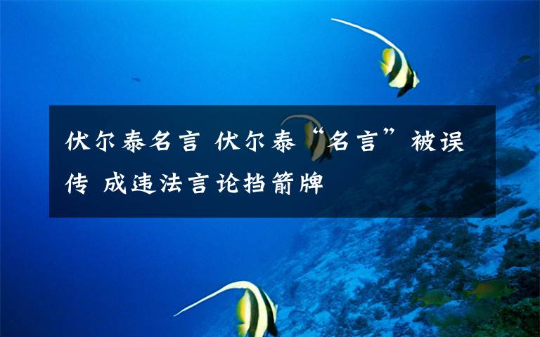 伏尔泰名言 伏尔泰“名言”被误传 成违法言论挡箭牌