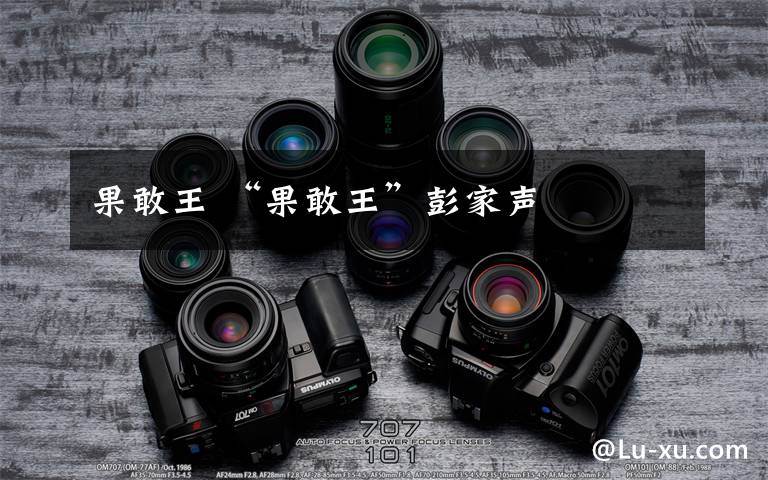 果敢王 “果敢王”彭家声