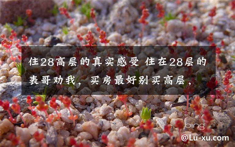 住28高层的真实感受 住在28层的表哥劝我,买房最好别买高层,住过的都说坑