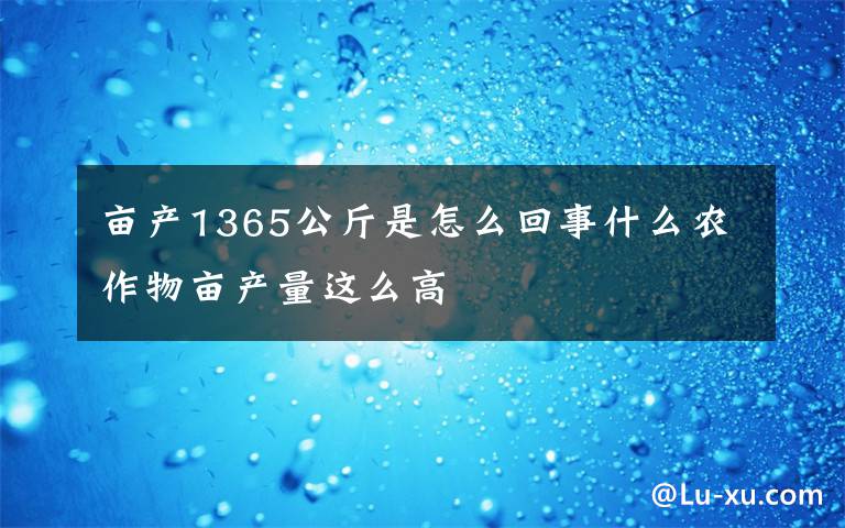 亩产1365公斤是怎么回事什么农作物亩产量这么高