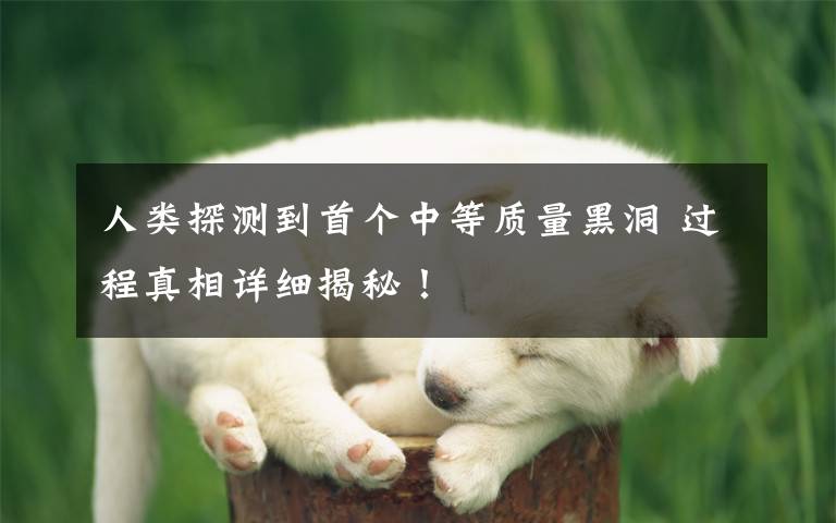 人类探测到首个中等质量黑洞 过程真相详细揭秘!