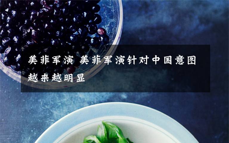 美菲军演 美菲军演针对中国意图越来越明显