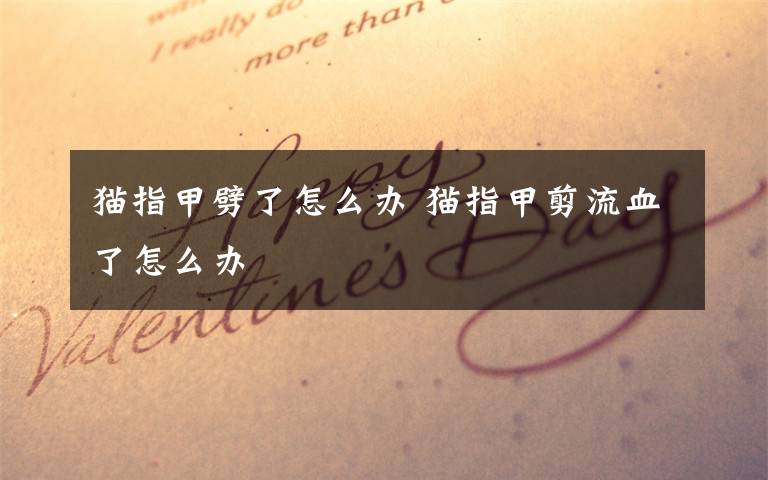 猫指甲劈了怎么办 猫指甲剪流血了怎么办