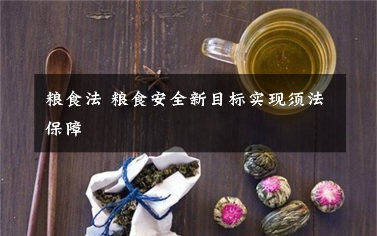 粮食法 粮食安全新目标实现须法保障