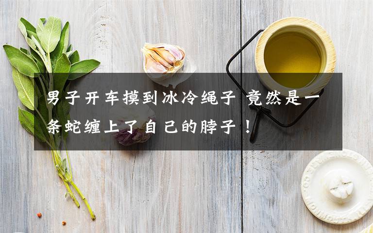 男子开车摸到冰冷绳子 竟然是一条蛇缠上了自己的脖子!