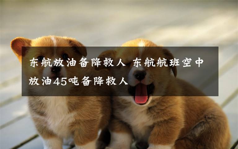 东航放油备降救人 东航航班空中放油45吨备降救人
