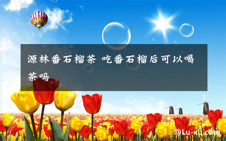 源林番石榴茶 吃番石榴后可以喝茶吗