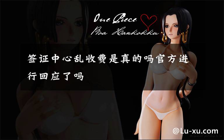 签证中心乱收费是真的吗官方进行回应了吗