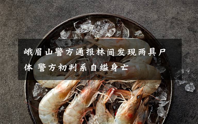 峨眉山警方通报林间发现两具尸体 警方初判系自缢身亡