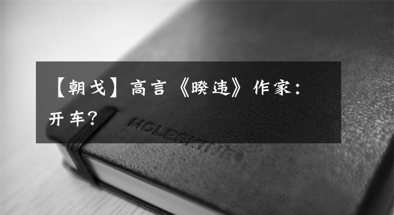 【朝戈】高言《暌违》作家:开车?