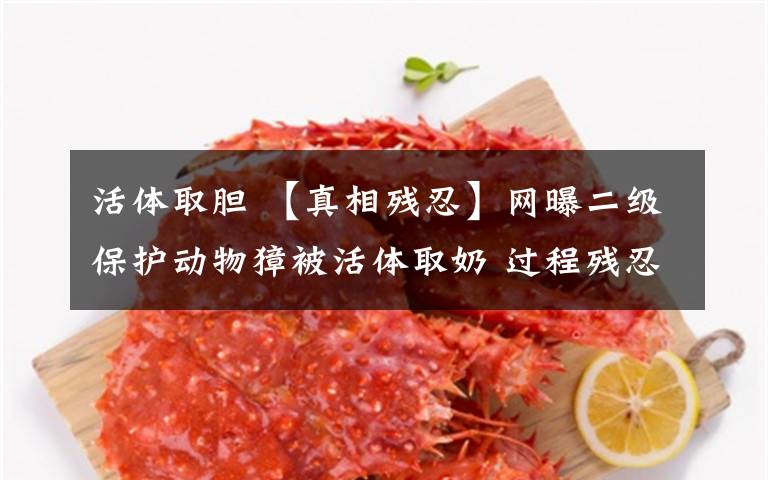 活体取胆 【真相残忍】网曝二级保护动物獐被活体取奶 过程残忍程度超过"活熊取胆"