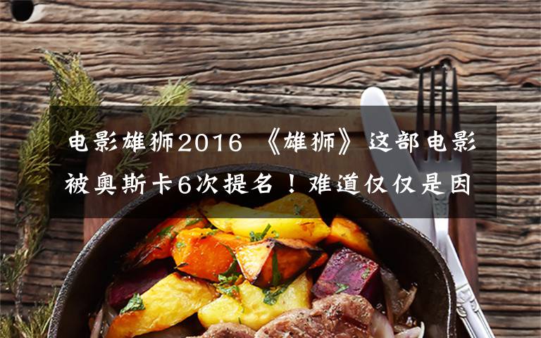 电影雄狮2016 《雄狮》这部电影被奥斯卡6次提名!难道仅仅是因为好看?