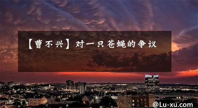 【曹不兴】对一只苍蝇的争议