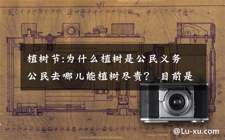 植树节:为什么植树是公民义务 公民去哪儿能植树尽责? 目前是什么情况?