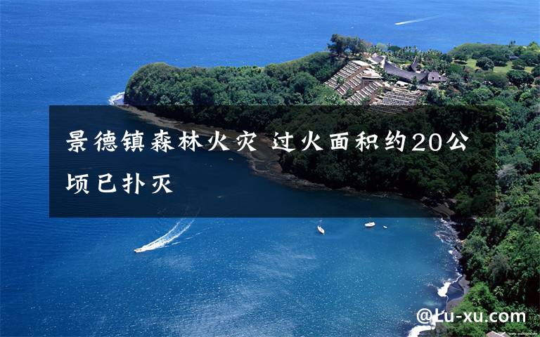景德镇森林火灾 过火面积约20公顷已扑灭