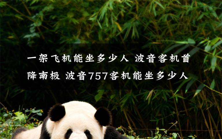 一架飞机能坐多少人 波音客机首降南极 波音757客机能坐多少人