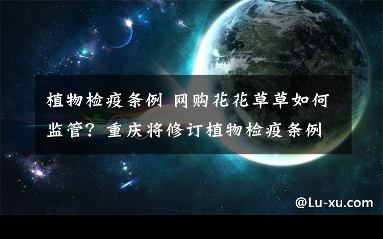 植物检疫条例 网购花花草草如何监管?重庆将修订植物检疫条例