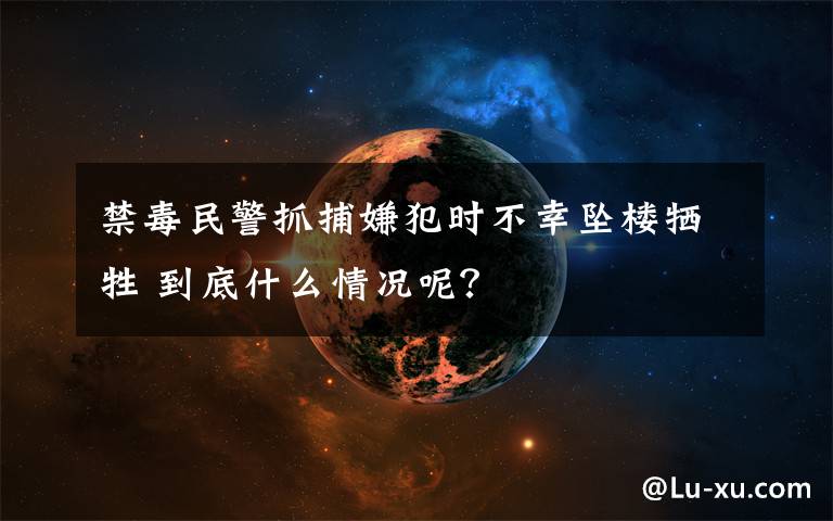 禁毒民警抓捕嫌犯时不幸坠楼牺牲 到底什么情况呢?