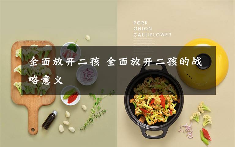 全面放开二孩 全面放开二孩的战略意义