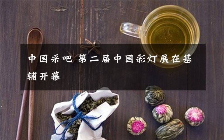 中国采吧 第二届中国彩灯展在基辅开幕