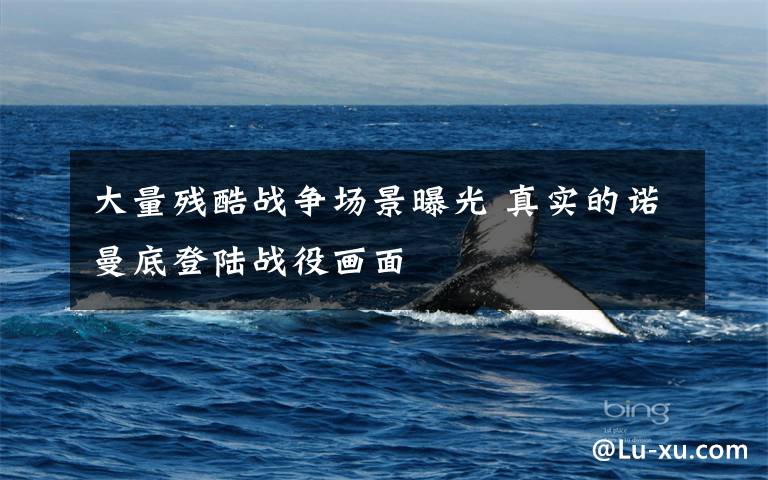 大量残酷战争场景曝光 真实的诺曼底登陆战役画面