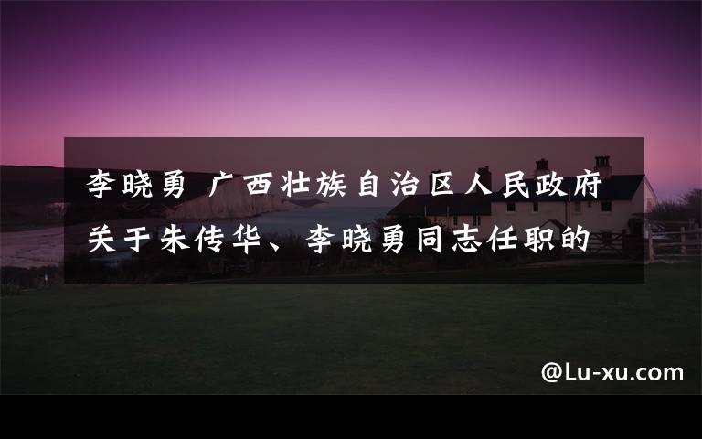 李晓勇 广西壮族自治区人民政府关于朱传华、李晓勇同志任职的通知