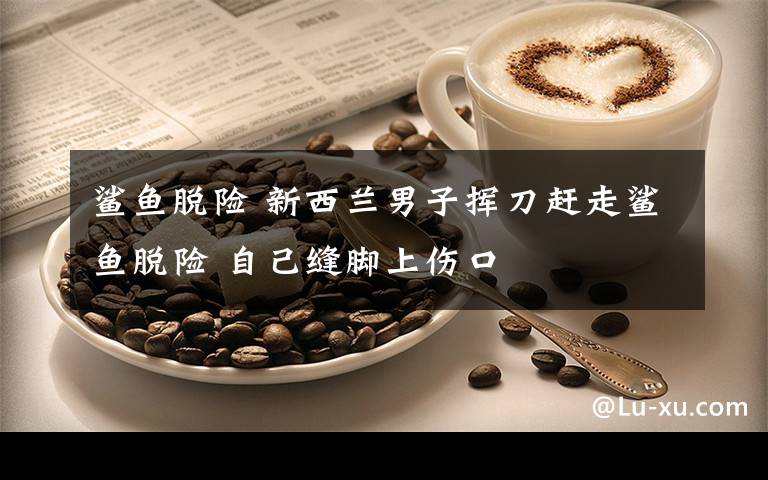 鲨鱼脱险 新西兰男子挥刀赶走鲨鱼脱险 自己缝脚上伤口