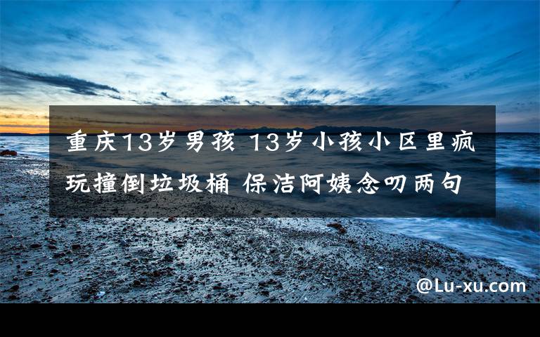 重庆13岁男孩 13岁小孩小区里疯玩撞倒垃圾桶 保洁阿姨念叨两句被“围攻”