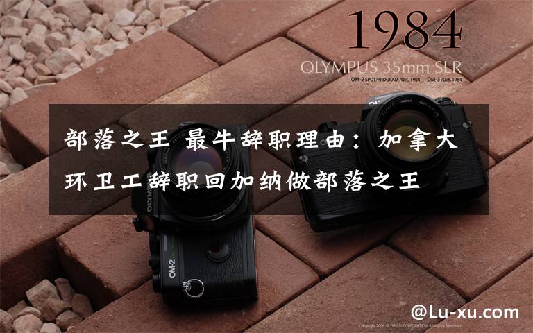 部落之王 最牛辞职理由:加拿大环卫工辞职回加纳做部落之王