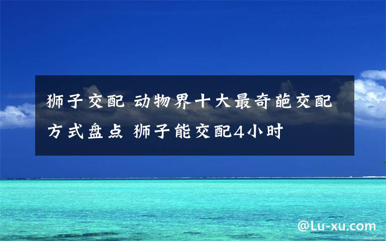 狮子交配 动物界十大最奇葩交配方式盘点 狮子能交配4小时