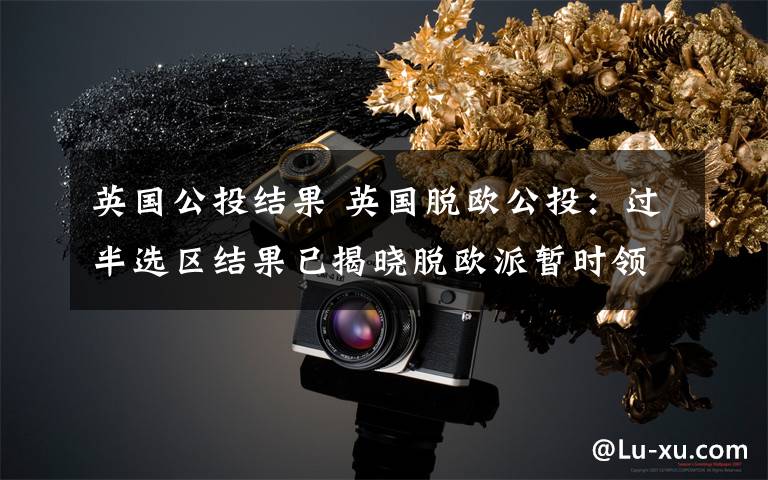 英国公投结果 英国脱欧公投:过半选区结果已揭晓脱欧派暂时领先