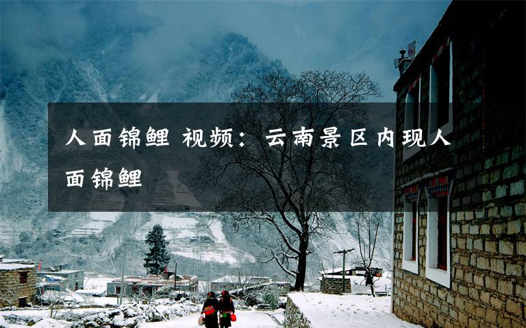 人面锦鲤 视频:云南景区内现人面锦鲤