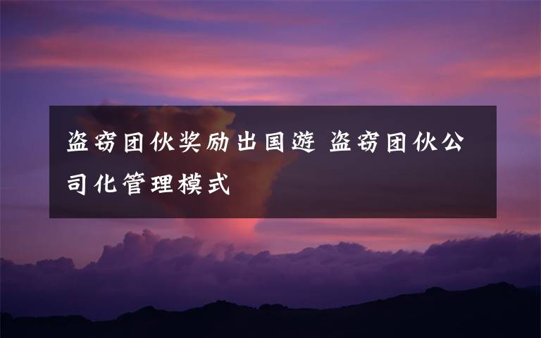 盗窃团伙奖励出国游 盗窃团伙公司化管理模式