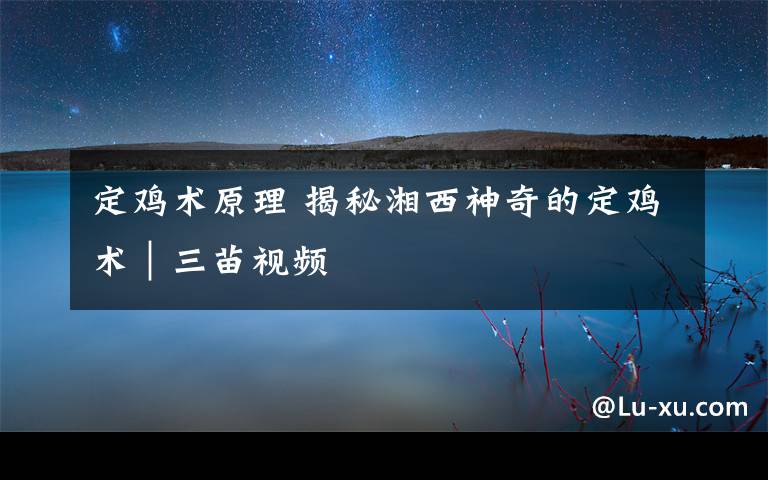 定鸡术原理 揭秘湘西神奇的定鸡术｜三苗视频