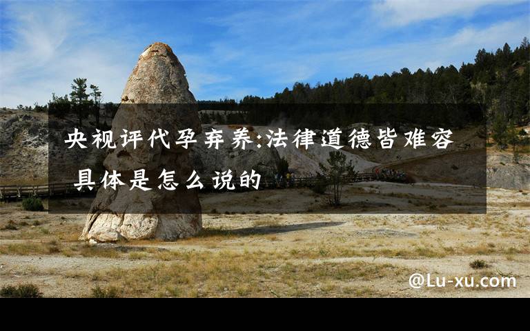 央视评代孕弃养:法律道德皆难容 具体是怎么说的