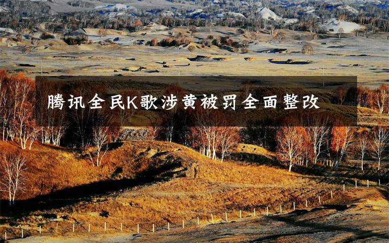 腾讯全民K歌涉黄被罚全面整改